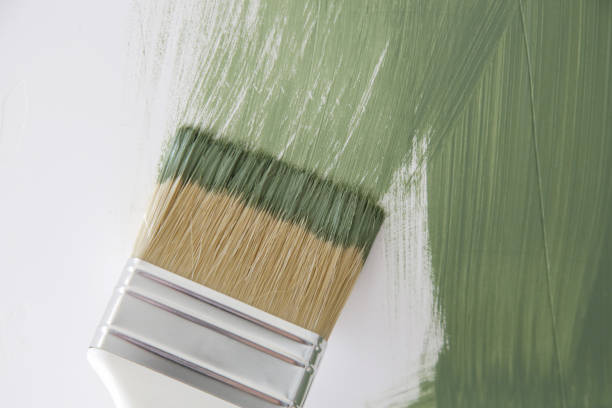 Best Black Mold Removal  in Mount Morris, MI