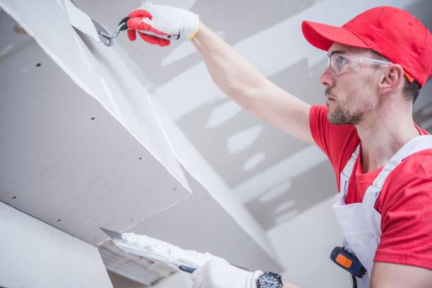 Best Mold Damage Restoration  in Mount Morris, MI