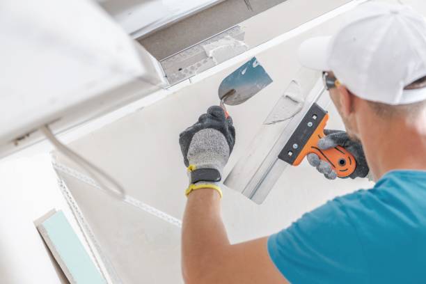  Mount Morris, MI Mold Removal Pros